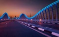 Amazing night dubai VIP bridge. Private road to Meydan race course, Dubai, United Arab Emirates