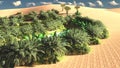 Awesome view on Sahara desert at sunset 3d rendering