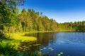 Amazing northern landscape with lake and forest on summer evening at sunset. Beautiful view to pond, blue water, forest reflection Royalty Free Stock Photo