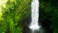Amazing Nungnung waterfall. Famous tourist destination. Bali, Indonesia.