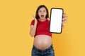 Amazing Offer. Shocked Pregant Woman Showing Smartphone With Blank Screen At Camera Royalty Free Stock Photo