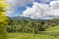 a landscape typical of Bali and the area around sidemen, rice fields, palm trees and mountains in a green natural setting Royalty Free Stock Photo