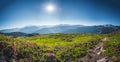 Amazing panorama of French Alps, part of famous trek Chamonix Mont Blanc in the backround.. View of French mountains in summer hik