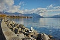 Amazing Panorama of Lake Geneva from town of Vevey, canton of Vaud