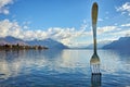 Amazing panorama of Lake Geneva from town of Vevey, Switzerland