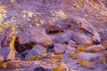 Amazing panorama of the Monastery of St. Catherine, Mount Moses, Sinai Royalty Free Stock Photo