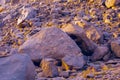 Amazing panorama of the Monastery of St. Catherine, Mount Moses, Sinai Royalty Free Stock Photo