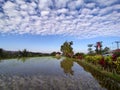 the amazing panorama in the village of Bangsing rice field is like a mirror