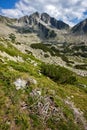 Amazing panorama of the Yalovarnika peaks in Pirin Mountain Royalty Free Stock Photo