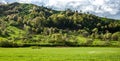 Amazing panoramic landscape with green grass, hills and trees, cloudy sky