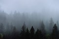 Amazing panoramic landscape mountain forests covering with a lot of fog after rain. Royalty Free Stock Photo