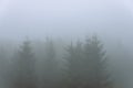 Amazing panoramic landscape mountain forests covering with a lot of fog after rain. Royalty Free Stock Photo