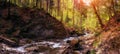 Amazing panoramic landscape mountain river in autumn forest at sunlight. View of stone water rapids and small waterfall. Royalty Free Stock Photo