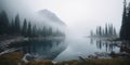 amazing panoramic landscape View on a mountain lake with tall pines