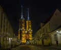 Amazing panoramic night view on beautiful illuminated Cathedral of St. John the Baptist. Ostrow Tumski district. Wroclaw.