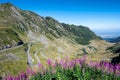 Aerial summer view of the famous Transfagarasan road Royalty Free Stock Photo