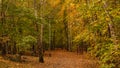 Amazing park of luminous autumnal colors. Royalty Free Stock Photo