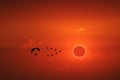 amazing phenomenon of total sun eclipse over silhouette birds flying and paramotor on sea and sunset sky Royalty Free Stock Photo