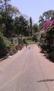 The amazing picture of garden in Shegav