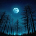 An amazing picture of the mystery in the night Deep and calm night