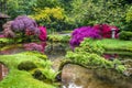 Amazing Picturesque Scenery of Japanese Garden in the Hague & x28;Den Haag& x29; in the Netherlands Straight After the Rain
