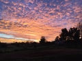 Amazing pink and orange sky Sunrise with horse in background Royalty Free Stock Photo