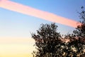 An amazing pink stripe cloud
