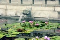 Amazing Pond with Chinese Stone Mythical Dragon-head Fountains and with Water Purple Lilies