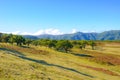 Amazing Portuguese landscape in Fanal, Madeira. Old laurel trees with hills in the background. The Madeiran laurisilva is a