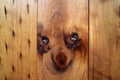 Amazing Puppy Look a Like Natural Pattern of the Wooden Outer Wall in Oasis Town of Northern Chile
