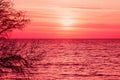 Amazing purple sunset over sea Royalty Free Stock Photo
