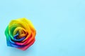 Amazing rainbow rose flowe