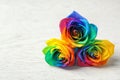 Amazing rainbow rose flowers on table