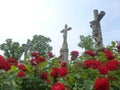 Red roses in front of three crosses in Tihany, Hungary Royalty Free Stock Photo