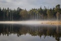 Amazing reflection in pine forest pond with mist covering the surface Royalty Free Stock Photo