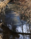 Amazing Ripply Reflections And Ice In Stream Royalty Free Stock Photo