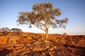 Amazing rock formations of the Great Valley, Kings Canyon. Australia Royalty Free Stock Photo