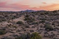 amazing rock formations in a desert landscape in Joshua Tree national park, California Royalty Free Stock Photo