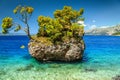 Amazing rock island, Brela, Makarska riviera, Dalmatia, Croatia, Europe Royalty Free Stock Photo