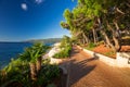 Amazing rocky beach with cristalic clean sea water with pine trees n the coast of Adriatic Sea, Istria, Croatia Royalty Free Stock Photo