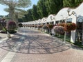 Amazing romantic walk in Miracle garden in Dubai, sidewalk between flowers and luxurious shops
