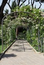 Frame to the municipal Rose garden in Rome Royalty Free Stock Photo