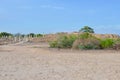 Amazing ruins of ancient Roman city Salamis, located near Famagusta, Northern Cyprus. The ruins are extensive and in a good shape