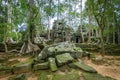 Amazing ruins of angkor wat complex, cambodia