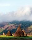 Amazing rural scene on autumn valley Royalty Free Stock Photo