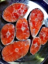 Amazing Salmon fish