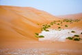 Amazing sand dune formations in Liwa oasis, United Arab Emirates