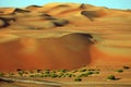 Amazing sand dune formations in Liwa oasis, United Arab Emirates