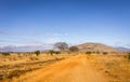 Safari road in Kenya