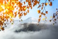 Amazing scene on autumn mountains